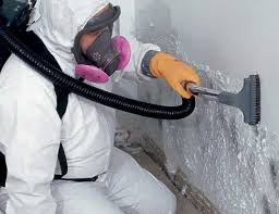 Best Environmental Consulting for Mold Prevention  in East Norwich, NY